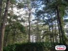 Hotel for sale in Baguio