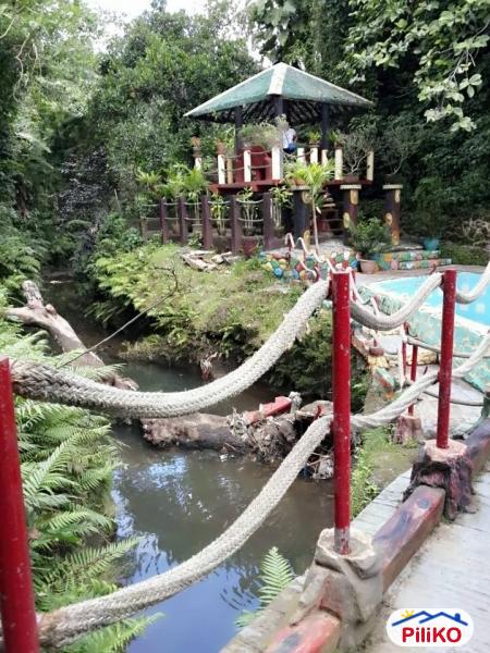 Pictures of Residential Lot for sale in Silang