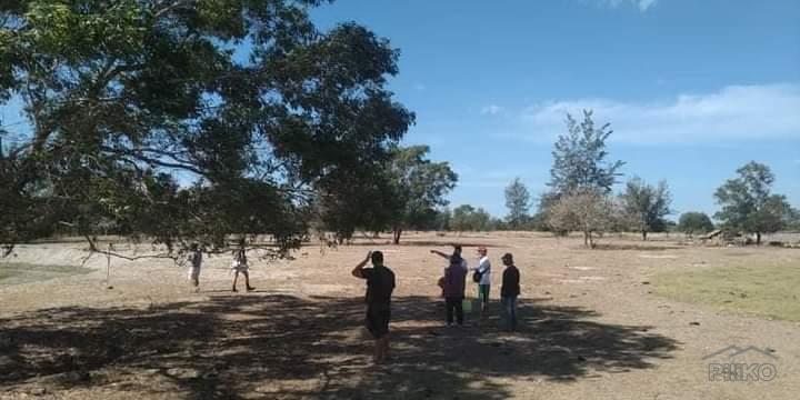 Other lots for sale in Botolan - image 3