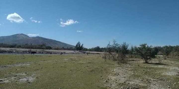 Other lots for sale in Botolan - image 6