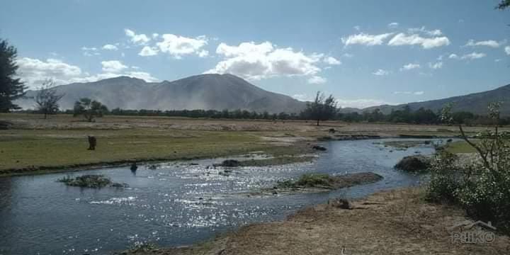 Other lots for sale in Botolan - image 7
