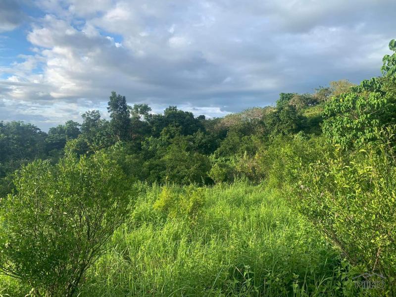 Agricultural Lot for sale in Rosario - image 2