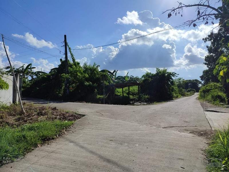Pictures of Land and Farm for sale in Rosario