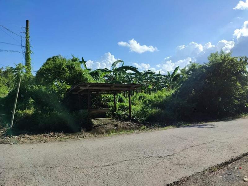 Land and Farm for sale in Rosario
