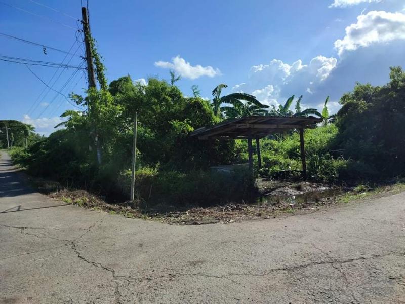 Land and Farm for sale in Rosario in Batangas