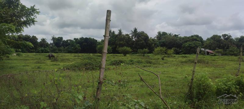 Lot for sale in Rosario