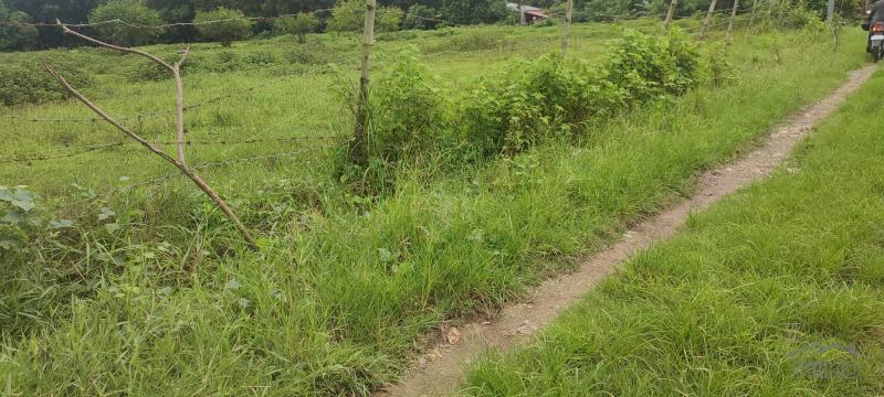 Lot for sale in Rosario in Batangas