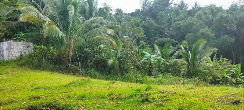 Lot for sale in Taysan in Batangas - image