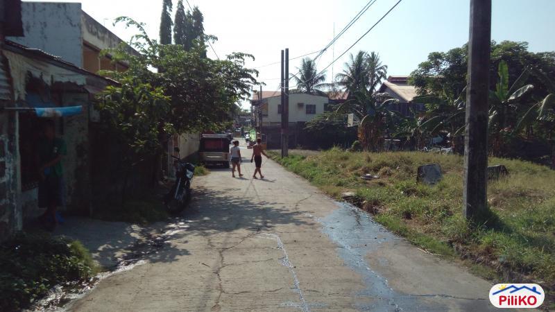Picture of Residential Lot for sale in Muntinlupa in Metro Manila
