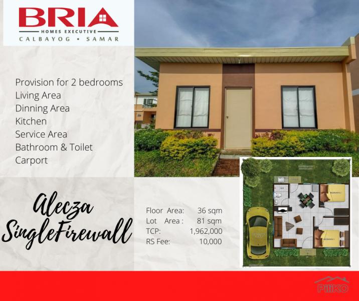 2 bedroom House and Lot for sale in Calbayog 505074