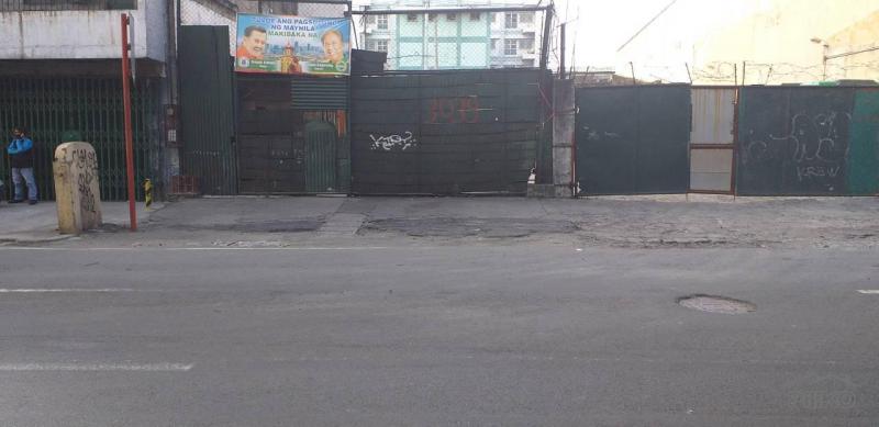 Pictures of Lot for sale in Manila