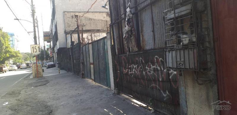 Lot for sale in Manila - image 7