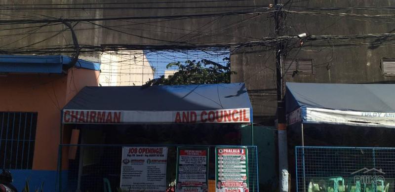 Lot for sale in Manila - image 8