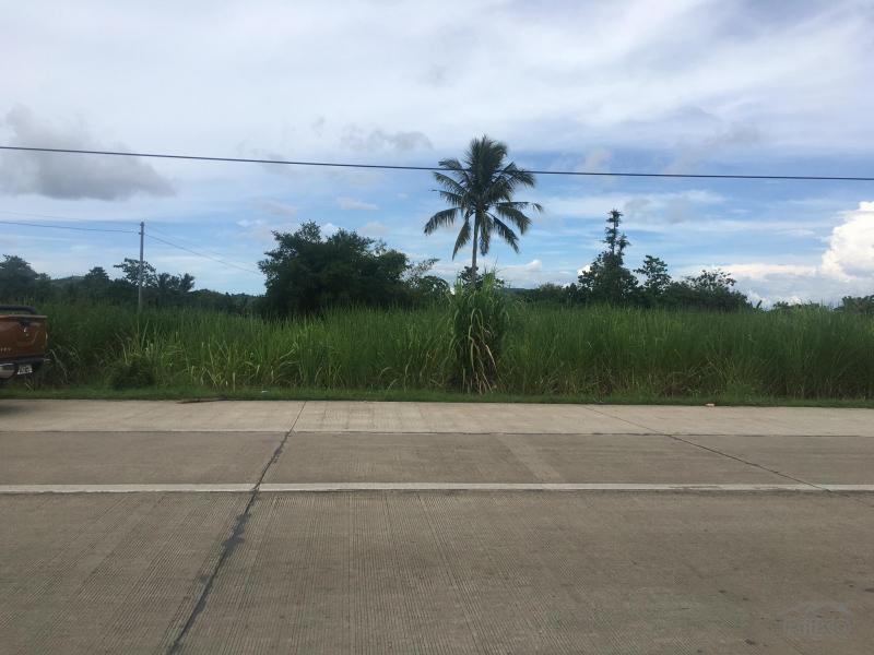 Pictures of Lot for sale in Barotac Viejo