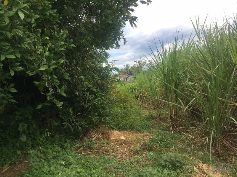 Lot for sale in Barotac Viejo - image 3