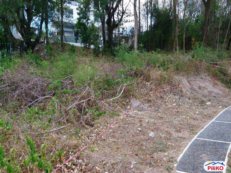 Picture of Commercial Lot for sale in Quezon City