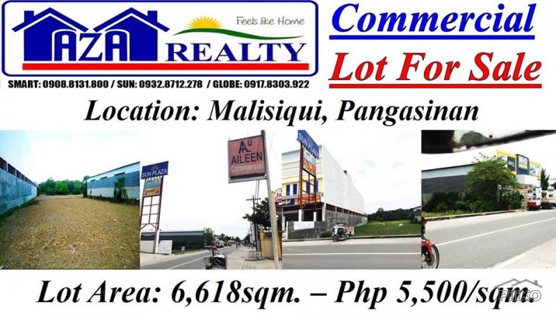 Picture of Other commercial for sale in Malasiqui