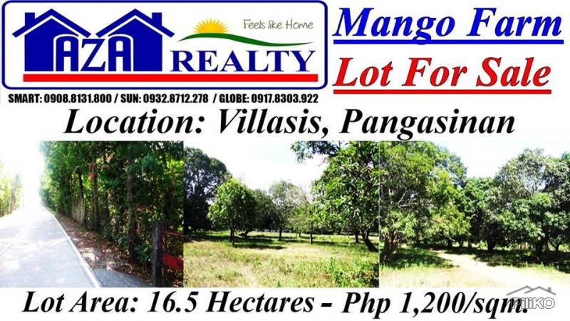 Picture of Land and Farm for sale in Villasis