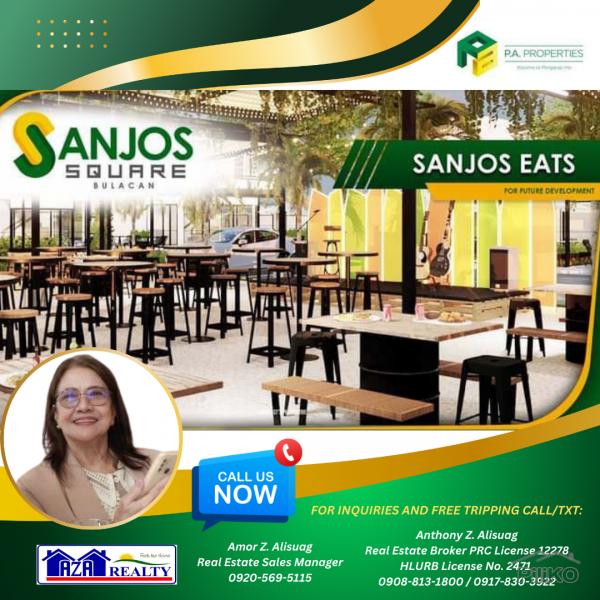Commercial Lot for sale in San Jose del Monte - image 2