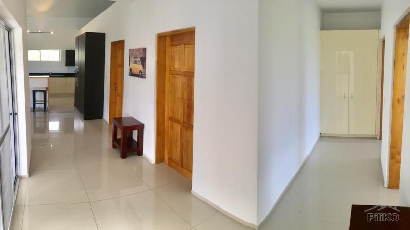 4 bedroom House and Lot for sale in Alcoy - image 17