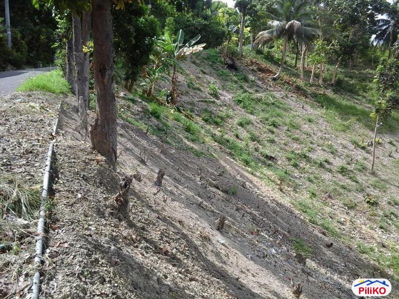 Picture of Residential Lot for sale in Minglanilla