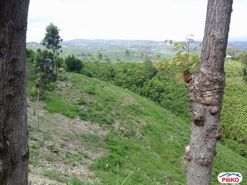 Residential Lot for sale in Minglanilla