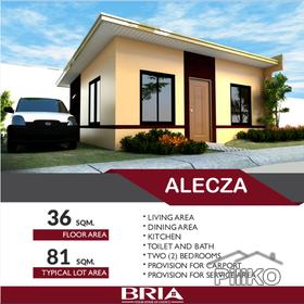 Picture of House and Lot for sale in Baras