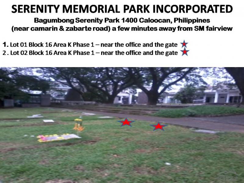 Picture of Other property for sale in Caloocan