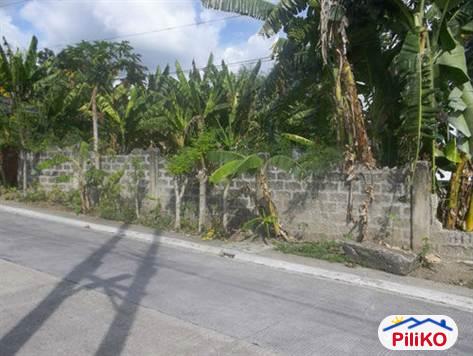 Residential Lot for sale in Cebu City - image 2