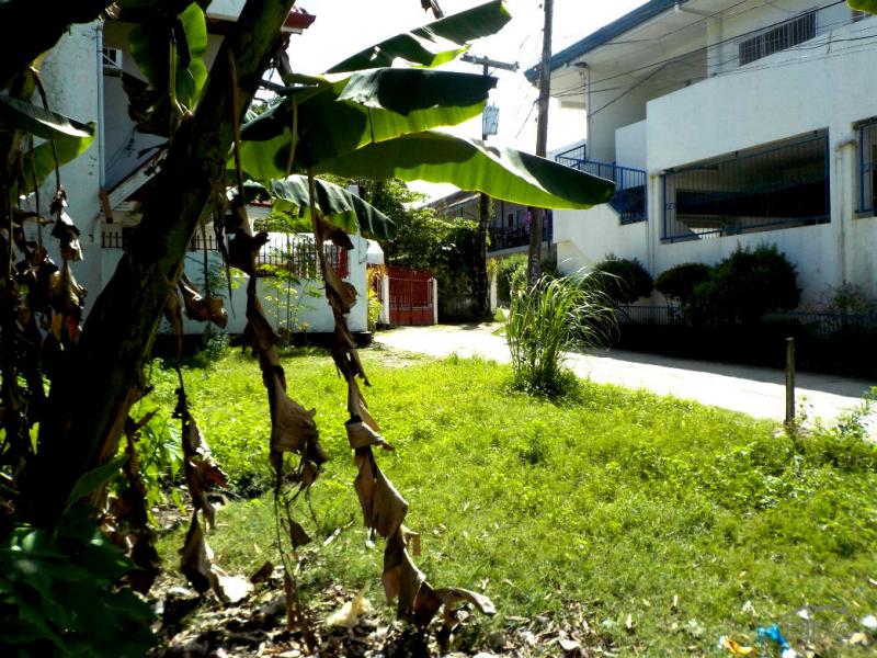 Residential Lot for sale in Lapu Lapu - image 10
