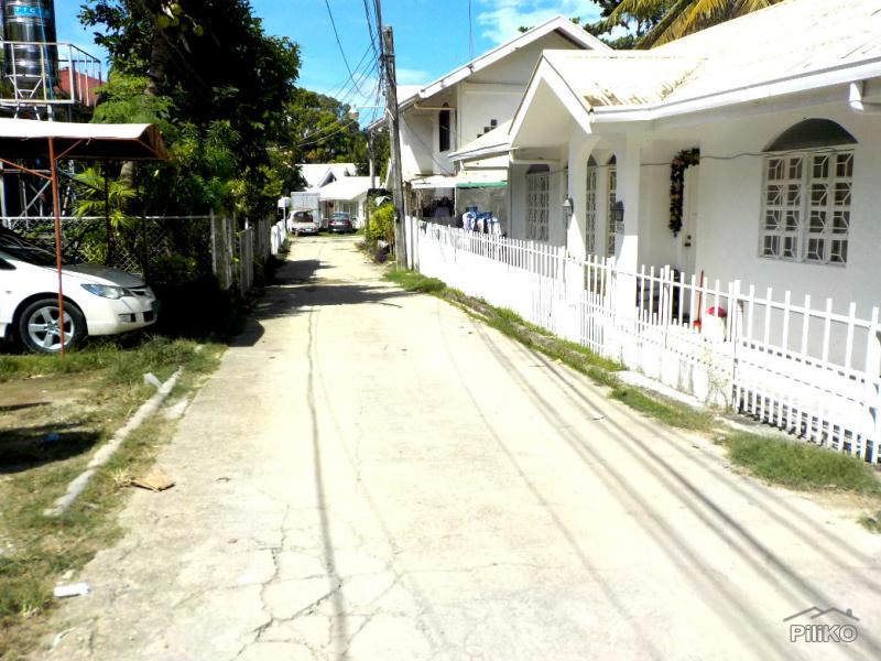 Residential Lot for sale in Lapu Lapu 466687 Photo 6