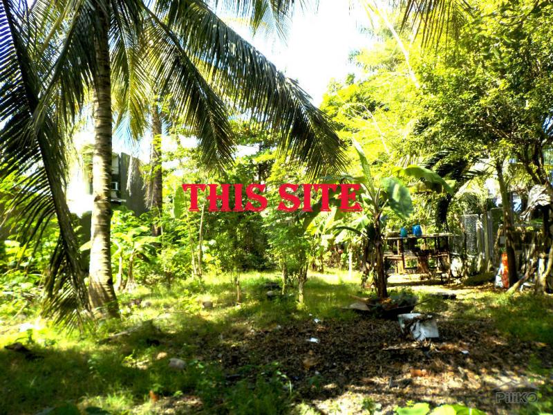 Residential Lot for sale in Lapu Lapu in Cebu - image