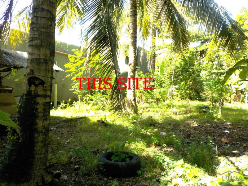 Residential Lot for sale in Lapu Lapu 466687 Photo 8