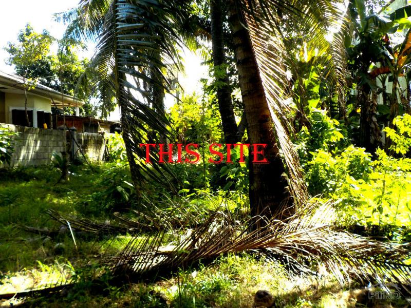 Residential Lot for sale in Lapu Lapu - image 9