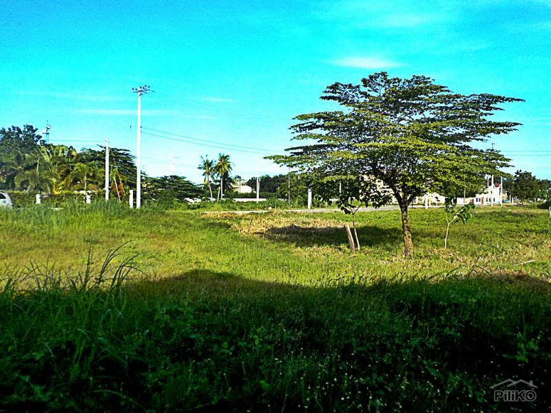 Residential Lot for sale in Lapu Lapu - image 13