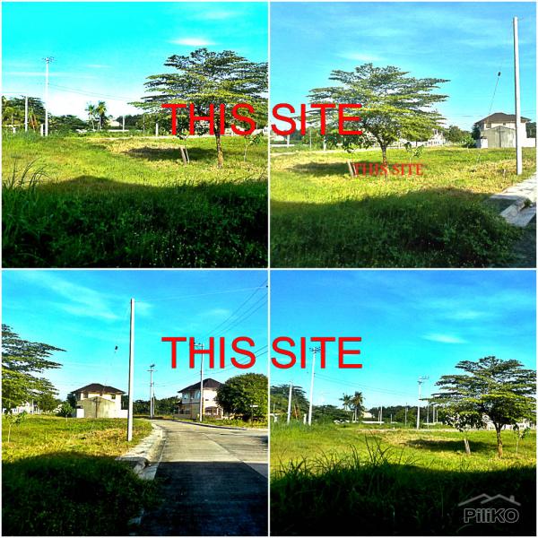 Pictures of Residential Lot for sale in Lapu Lapu