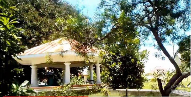 Residential Lot for sale in Lapu Lapu in Cebu