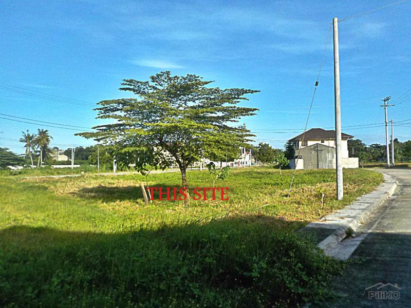 Residential Lot for sale in Lapu Lapu - image 8