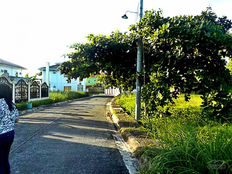 Residential Lot for sale in Lapu Lapu - image 9