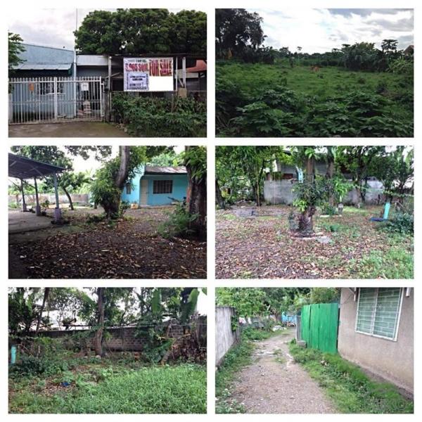 Picture of Residential Lot for sale in Talisay
