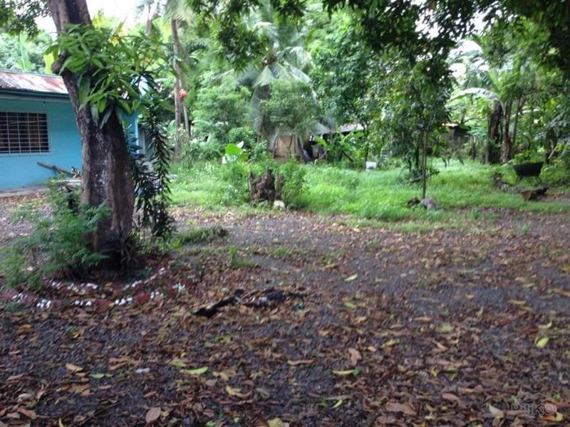 Picture of Residential Lot for sale in Talisay in Cebu