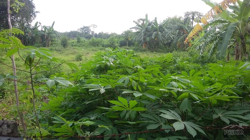 Residential Lot for sale in Talisay in Cebu - image