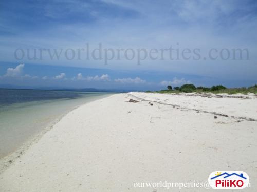 Commercial Lot for sale in Cebu City - image 2