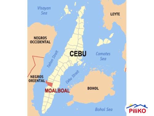 Picture of Commercial Lot for sale in Cebu City in Cebu