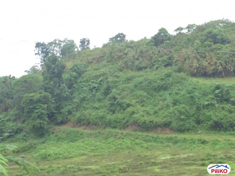 Pictures of Other lots for sale in Tuba