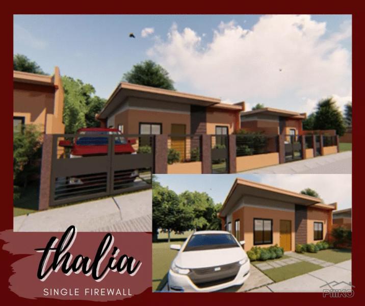 Pictures of 3 bedroom House and Lot for sale in Ormoc