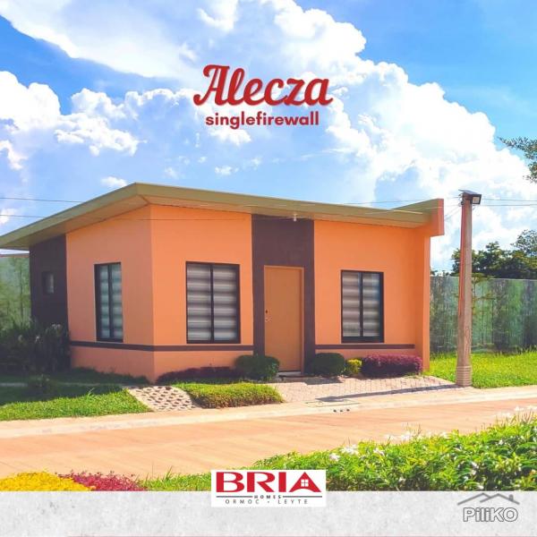 Picture of 2 bedroom House and Lot for sale in Ormoc