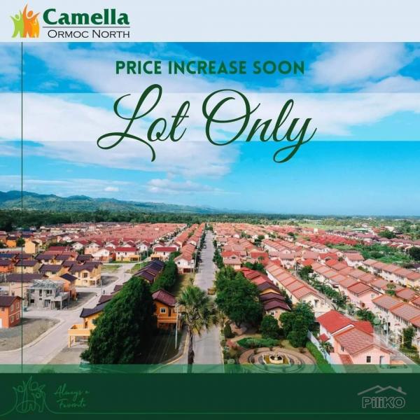 Picture of House and Lot for sale in Ormoc