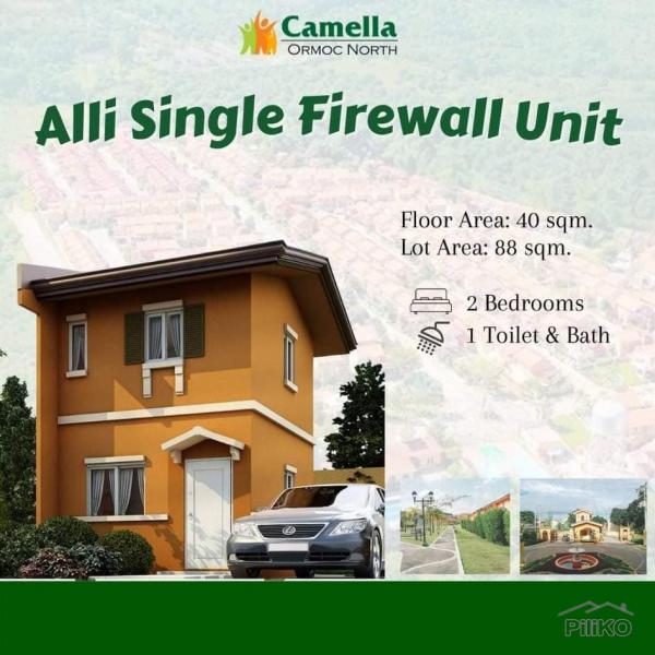 2 bedroom House and Lot for sale in Ormoc