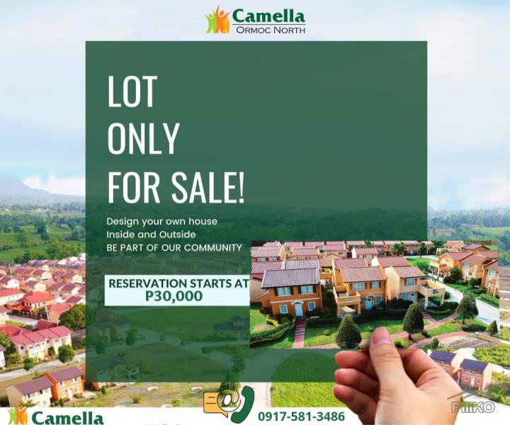 Picture of Lot for sale in Ormoc